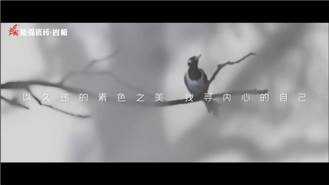 素巖系列 | 以素色之美，找尋內(nèi)心的自己