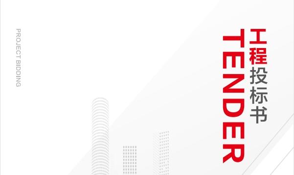 能強(qiáng)工程投標(biāo)書（提取碼：nqtc）